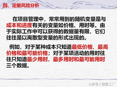 專案投資風險分析重點內容說明